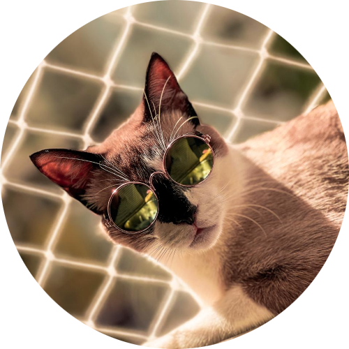 Gato de estimação em segurança graças à rede de proteção